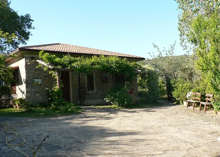 La Gabbianella E Il Gatto